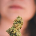 Can taking too much thca be dangerous or toxic to humans?